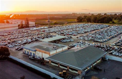 hayward car auction